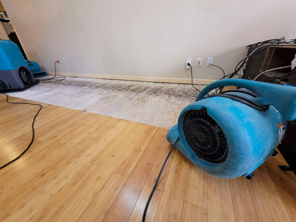 Professional Sewage Cleanup technician working in Westby, WI
